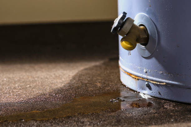 Best Water damage restoration near me  in Bee Ridge, FL