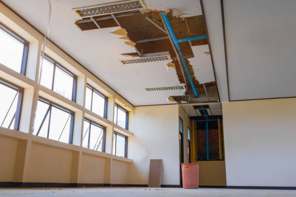 Best Mold removal after water damage  in Bee Ridge, FL