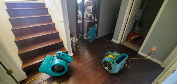 Best Water damage restoration insurance claims  in Bee Ridge, FL