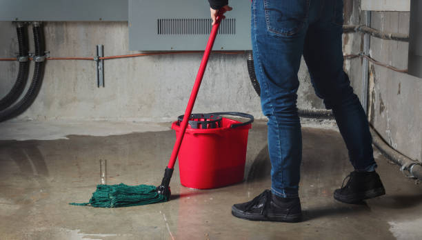 Best 24-hour water damage restoration  in Bee Ridge, FL