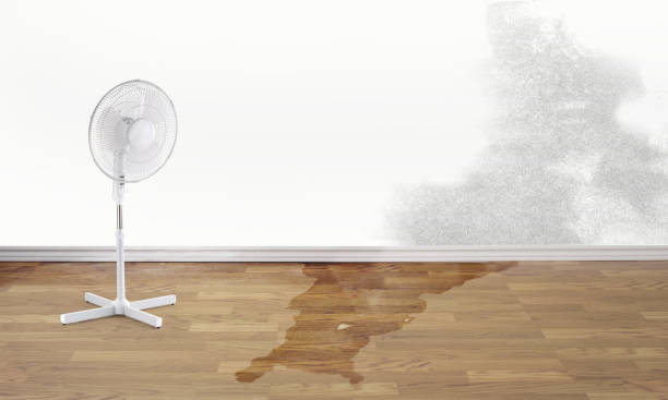 Best Fire Damage Restoration  in Bee Ridge, FL