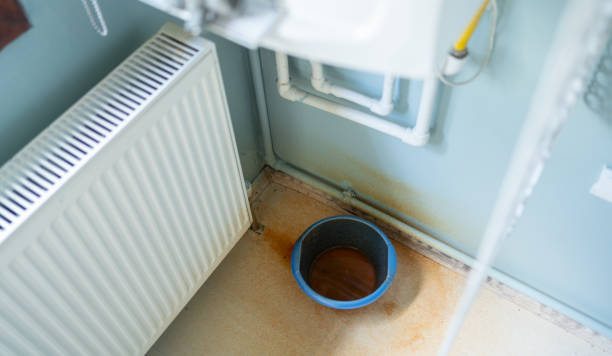 Best Water damage restoration near me  in Bee Ridge, FL