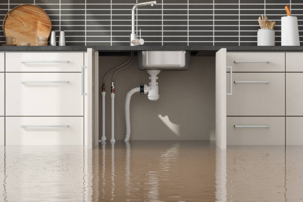 Best Emergency water damage restoration  in Bee Ridge, FL