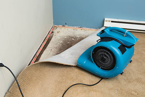 Best Flood restoration services  in Bee Ridge, FL